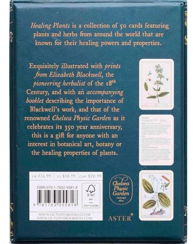Healing Plants: A Botanical Card Deck (50 Cards and Booklet) - 2